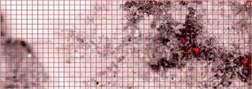 CEA LASE uses Kartotrak for mapping data derived from autoradiography