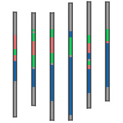 Isatis.neo - Sample clustering