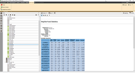 Isatis.neo 2022.04 new feature: neighborhood statistics