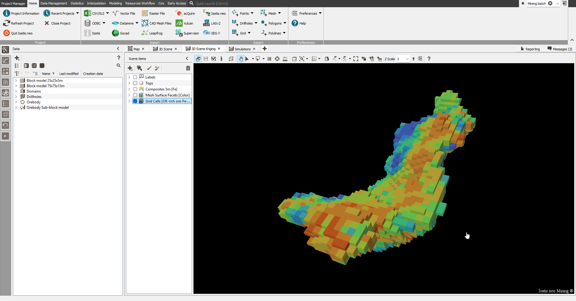 Isatis.neo 2025.3 release: labels displayed in grids