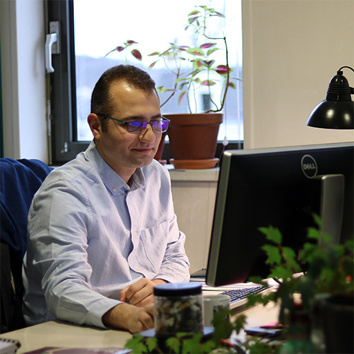 Our Consulting Service